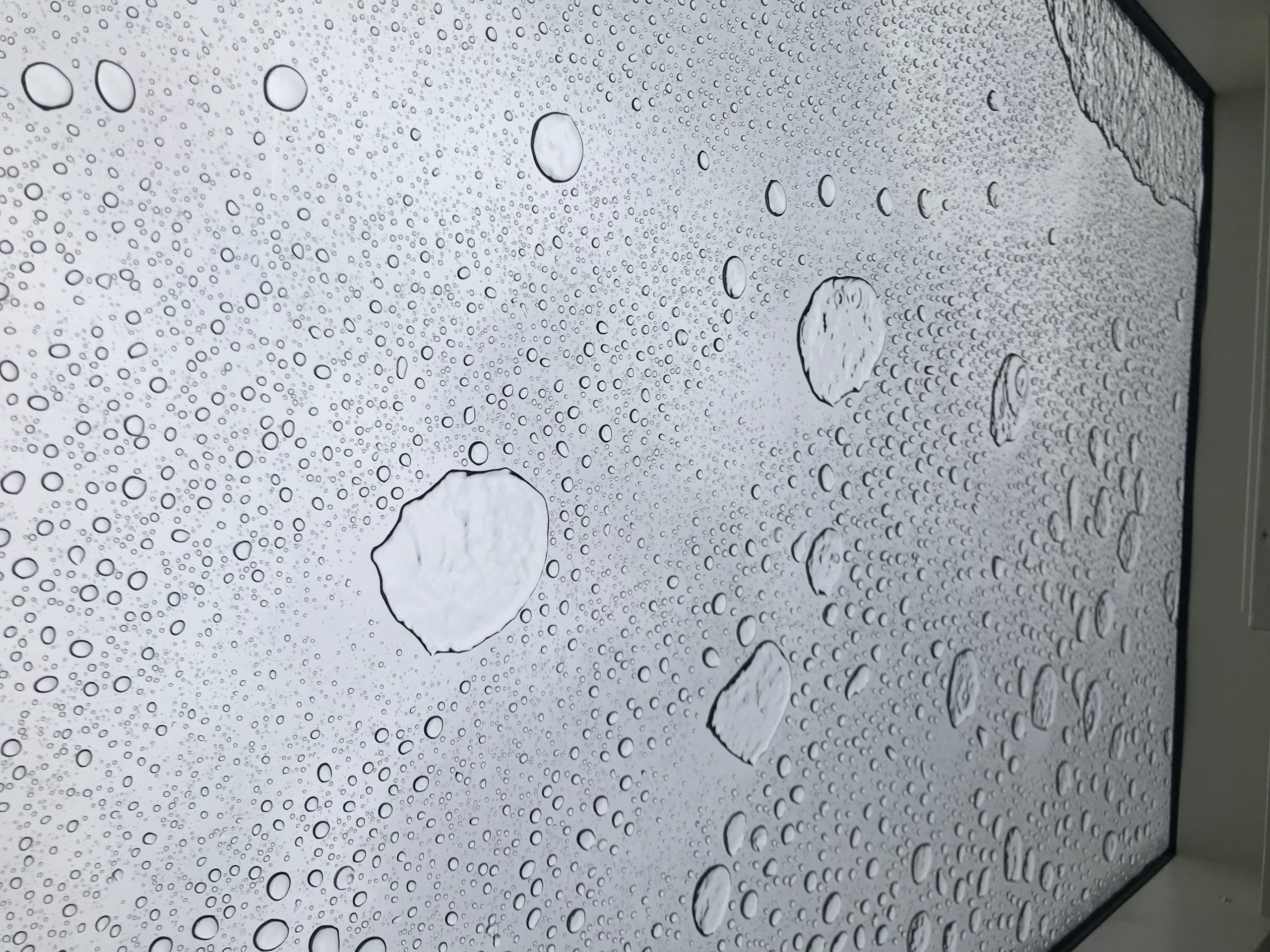 billigt Glastag orangeri