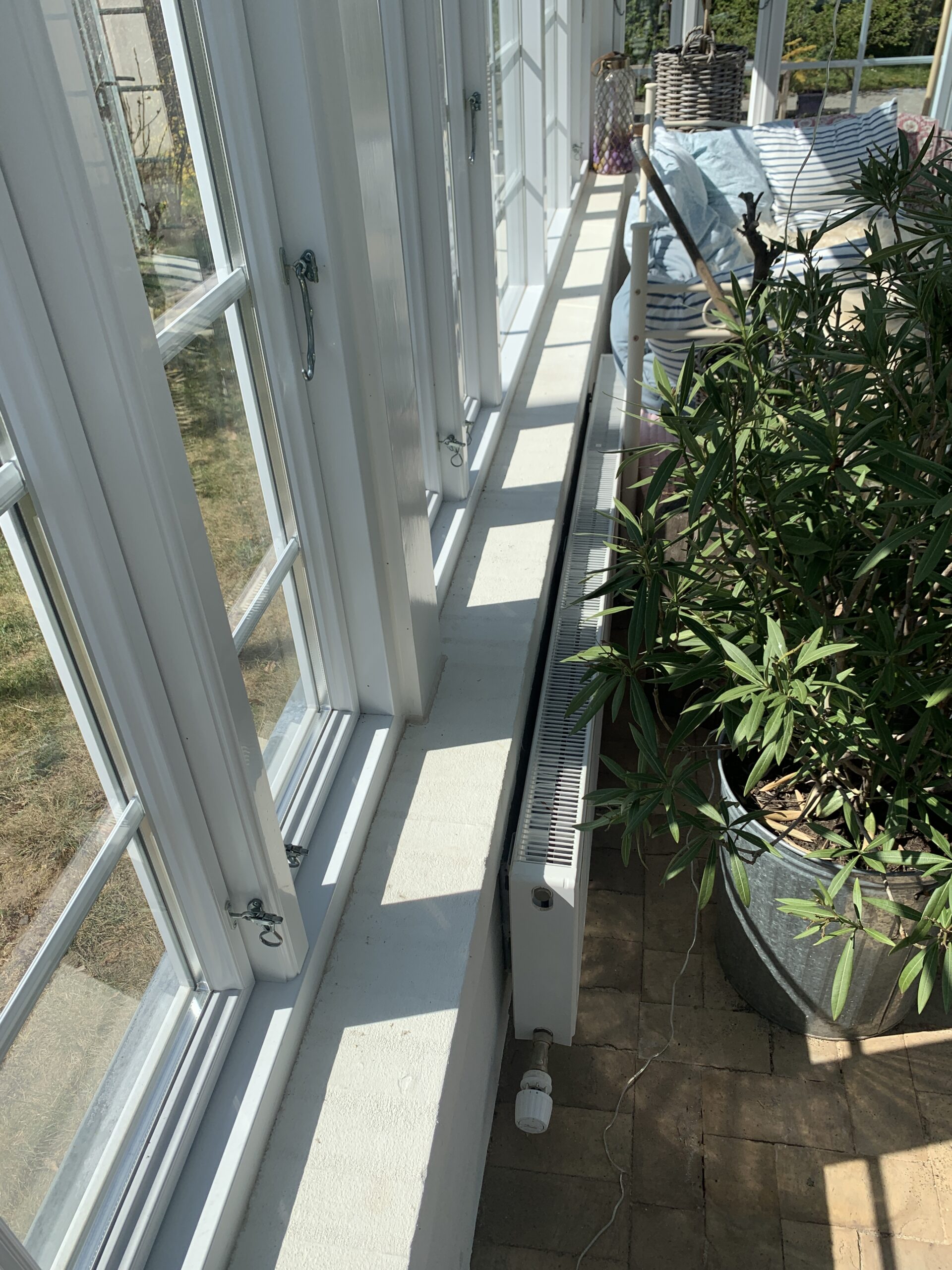 billigt Glastag orangeri