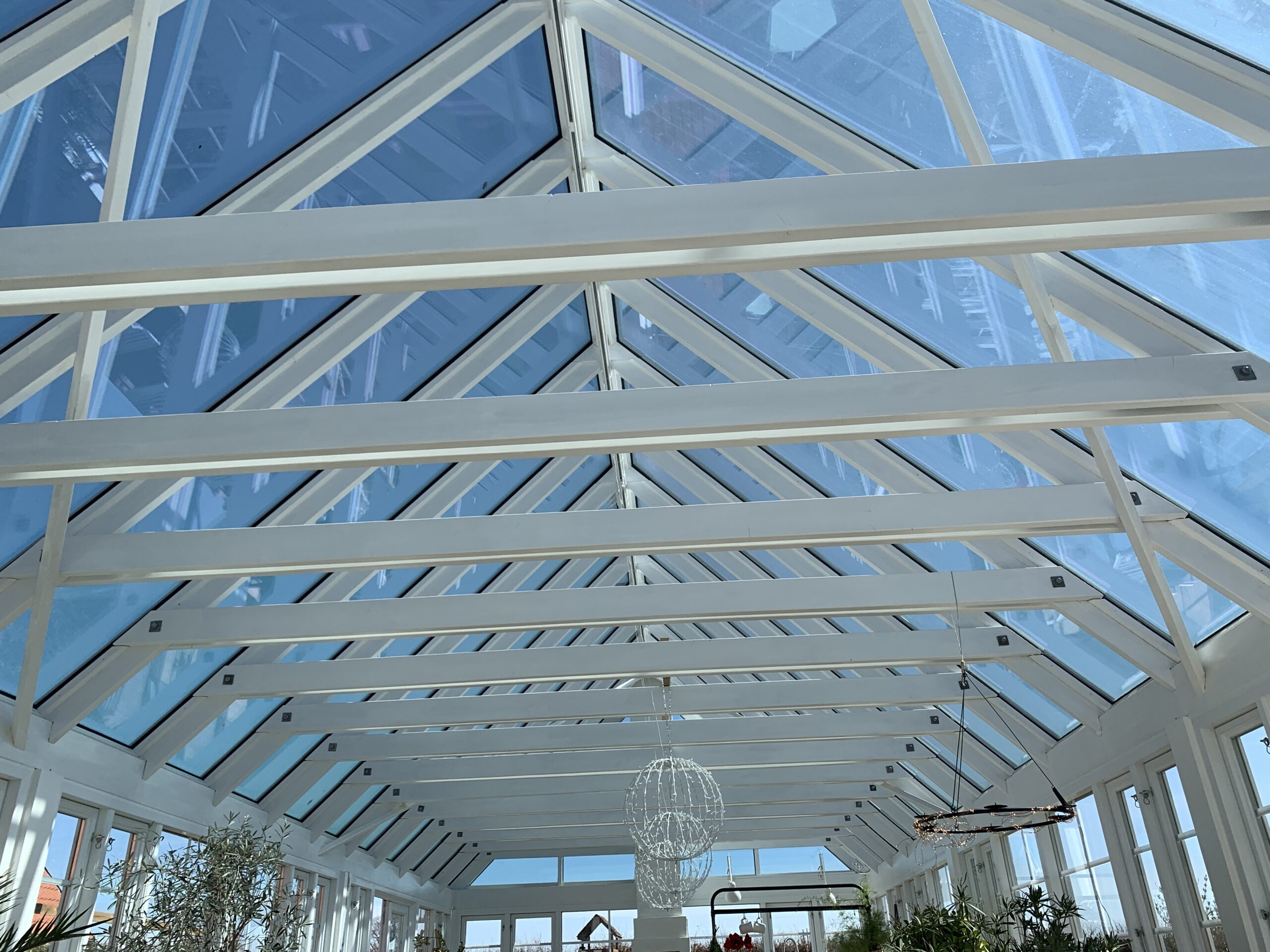 billigt Glastag orangeri