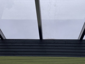 billigt Glastag pavilion orangeri