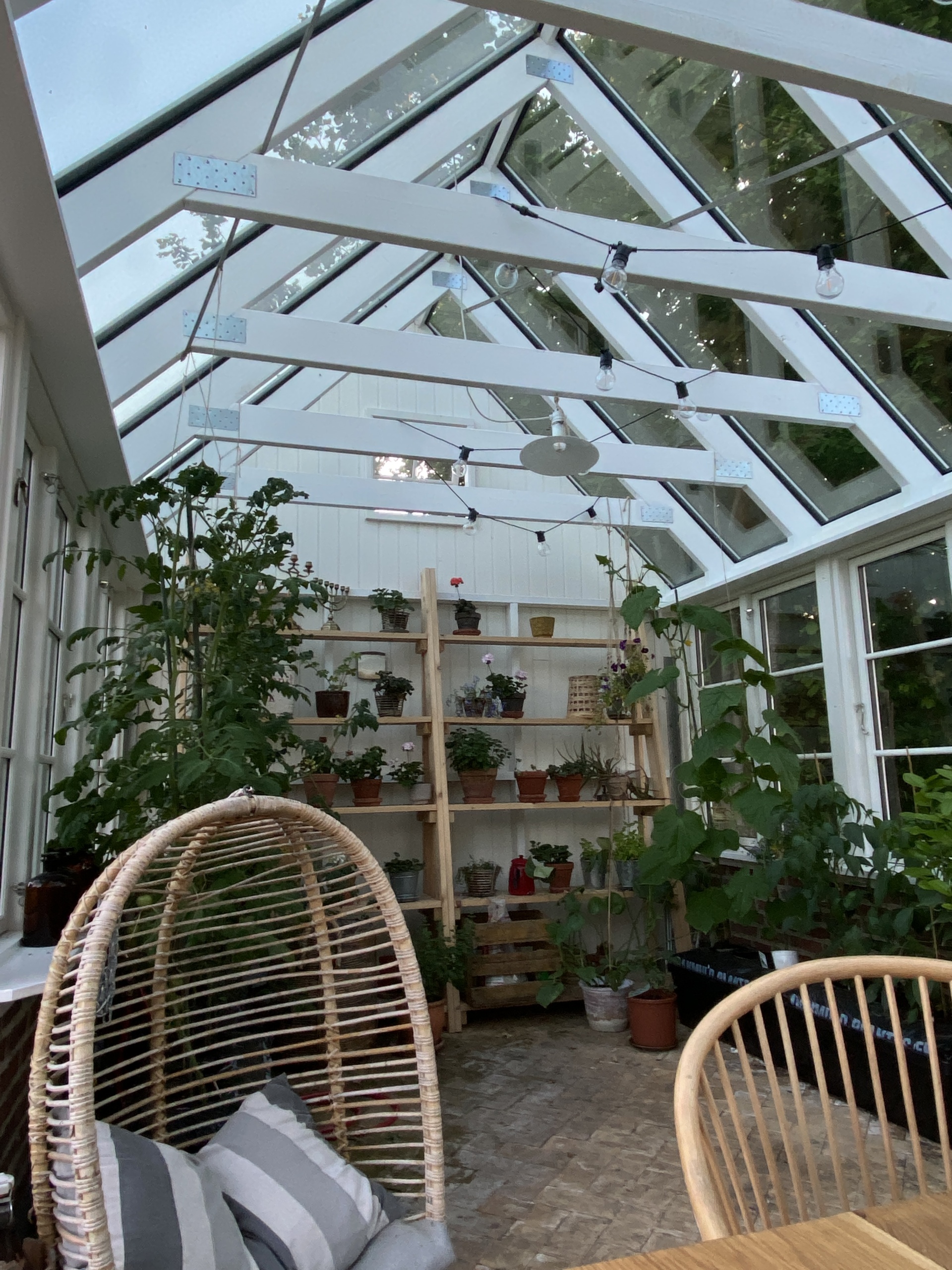 billigt Glastag orangeri