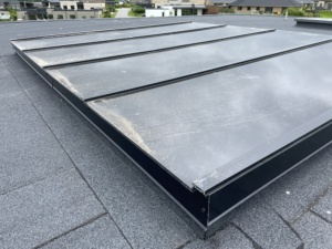 billigt Glastag pavilion orangeri