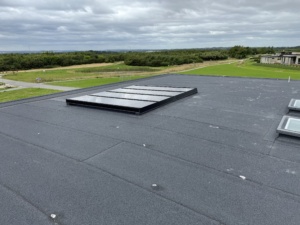 billigt Glastag pavilion orangeri